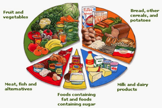 4 Food Groups Chart